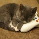 Illustration for article titled Microsoft: No Need to Launch New Console